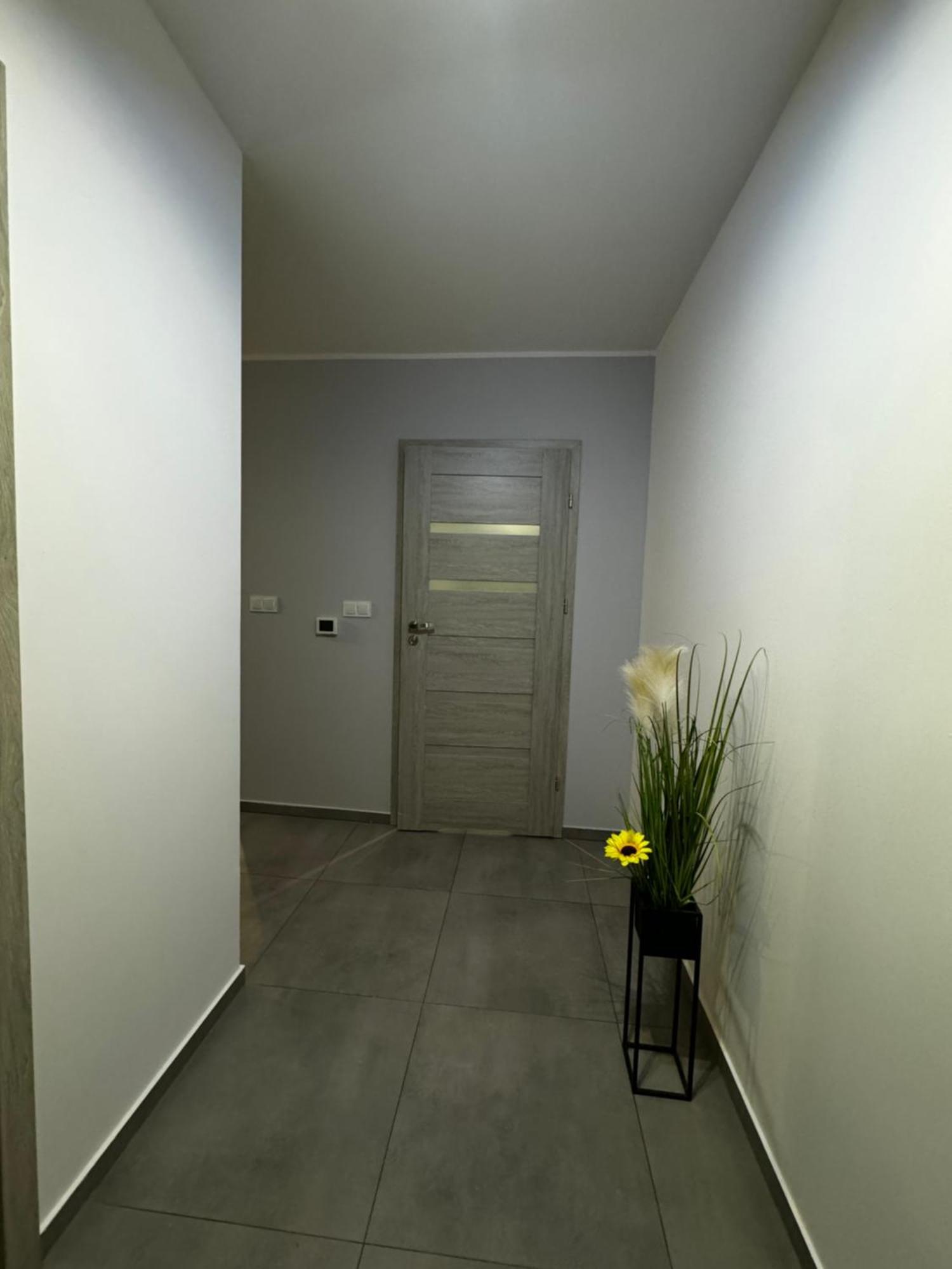 Apartament Kosakowo Obok Gdyni エクステリア 写真